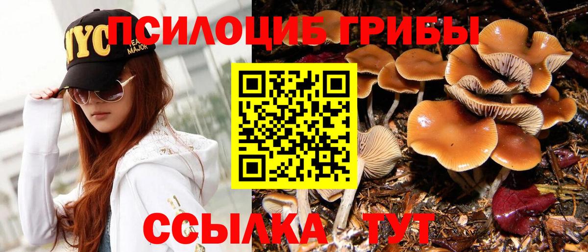 Галлюциногенные грибы Psilocybine cubensis Красноуфимск