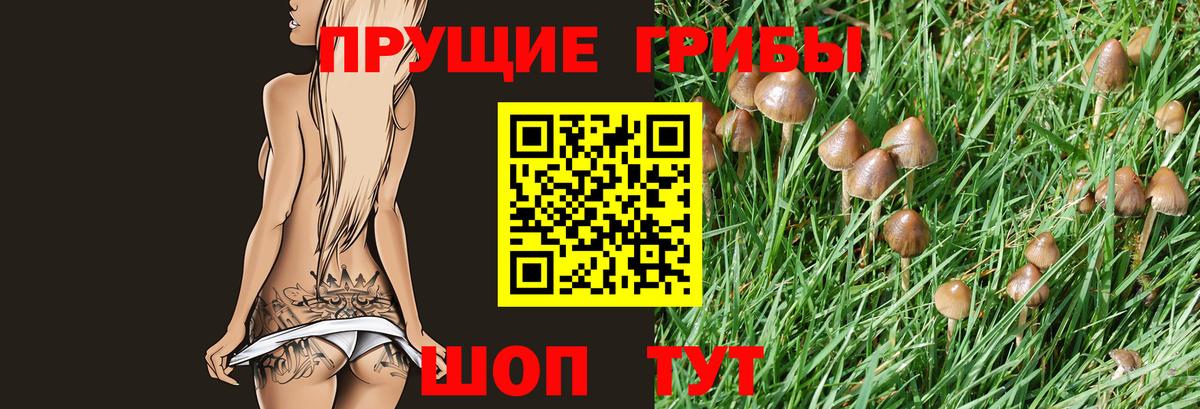 Галлюциногенные грибы Magic Shrooms  Вход с VPN  Красноуфимск 